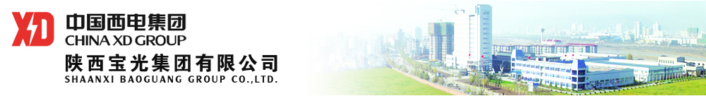 寶光集團(tuán)英文